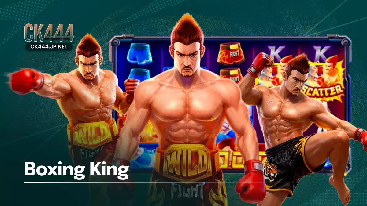 CK444 Boxing King
